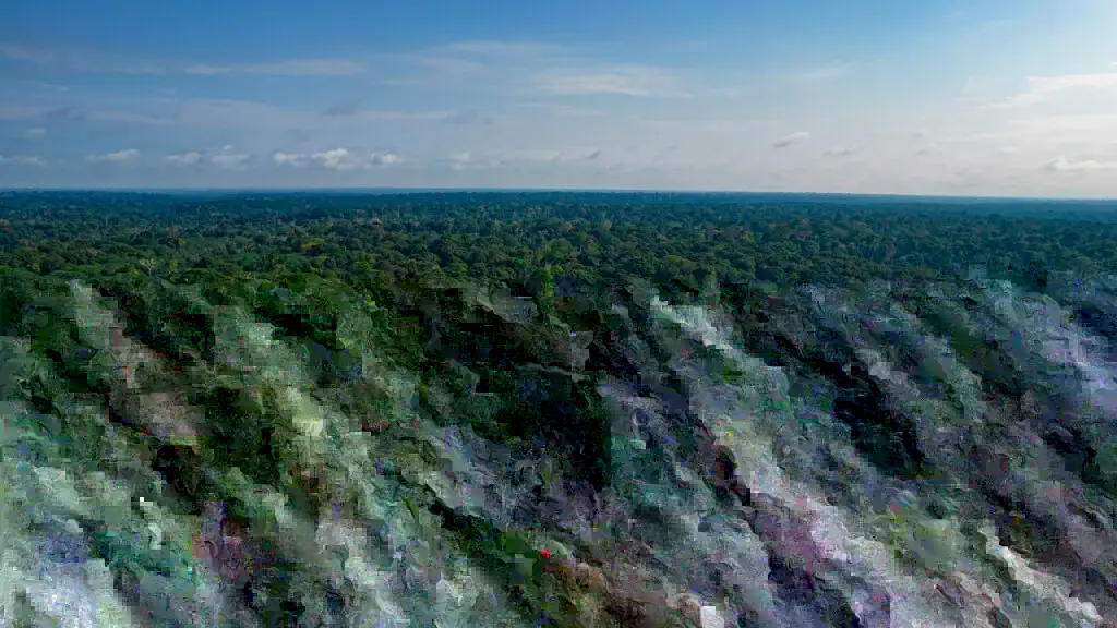 image of logged forest